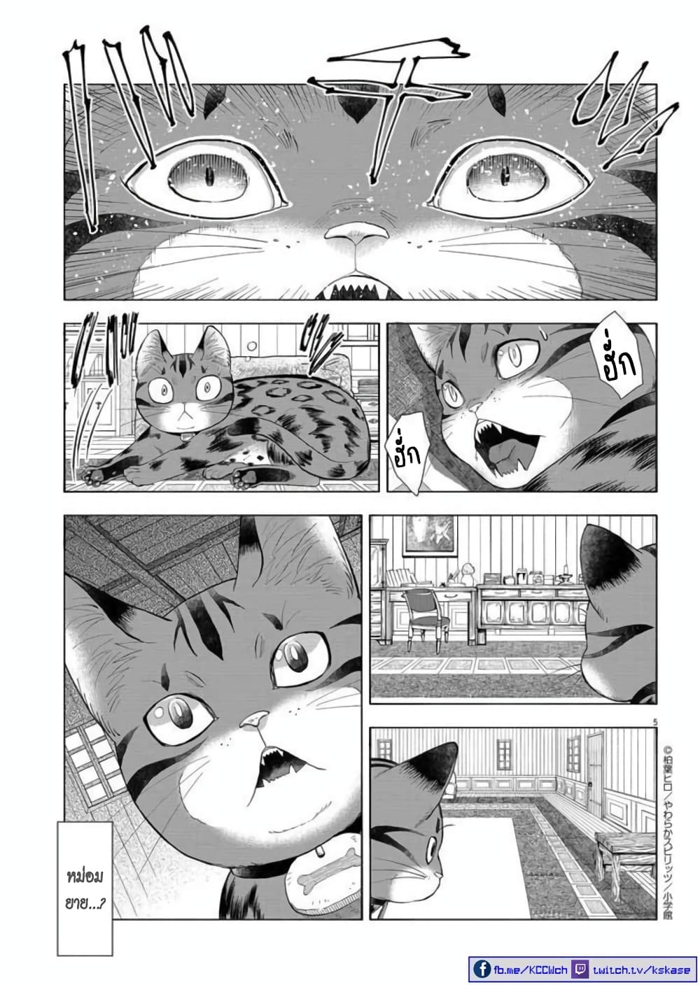 Isekai Neko to Fukigenna Majo page 6