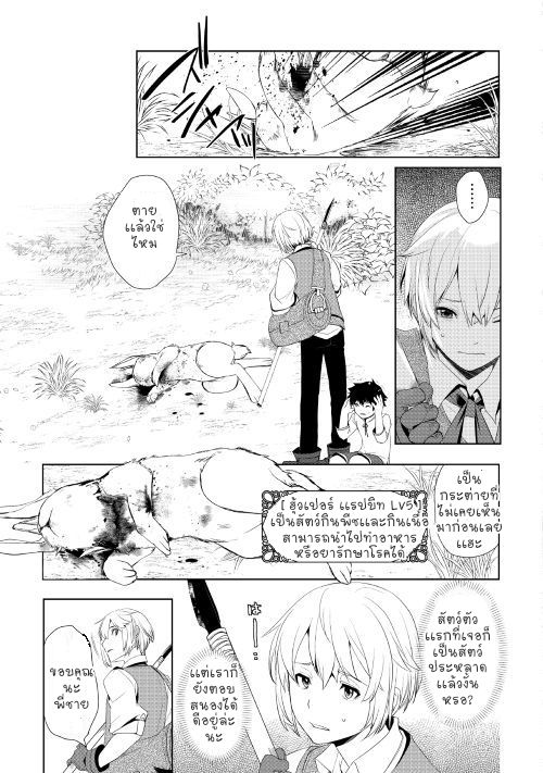 Izure Saikyou no Renkinjutsushi? page 24