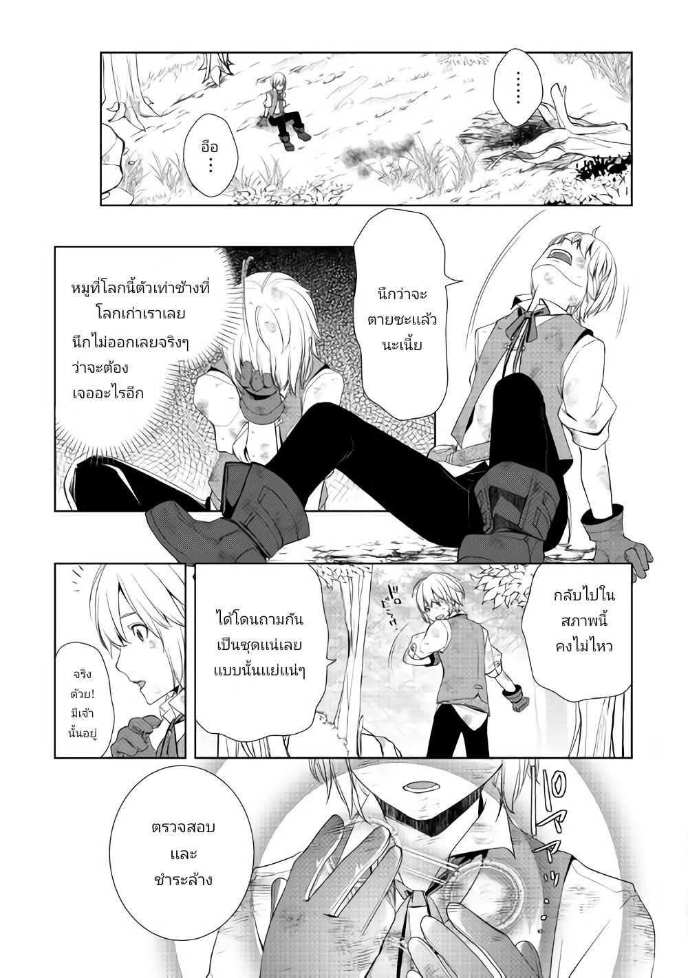 Izure Saikyou no Renkinjutsushi? page 13