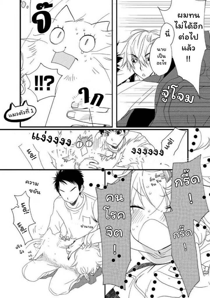 Junkissa Neko page 4
