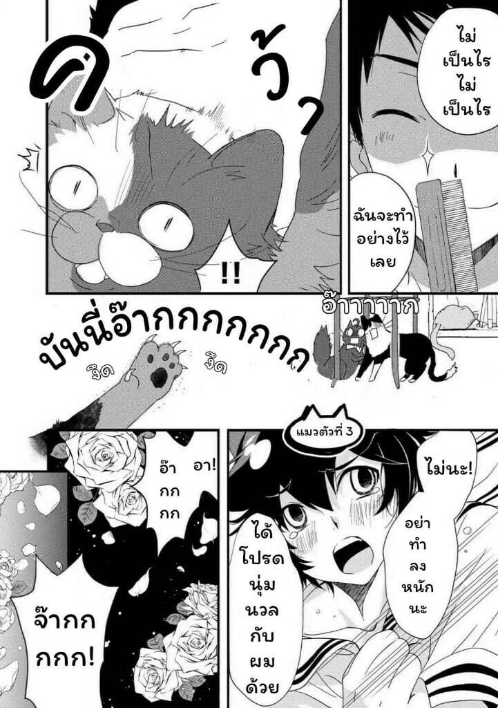 Junkissa Neko page 6