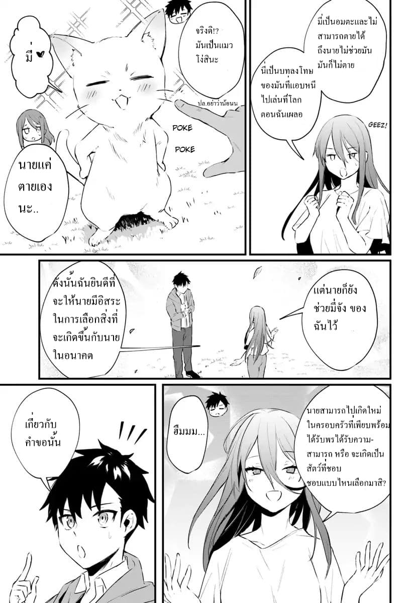 Kami Neko Mii-chan to Neko Youhin Shoukanshi no Isekai Funtouki page 11