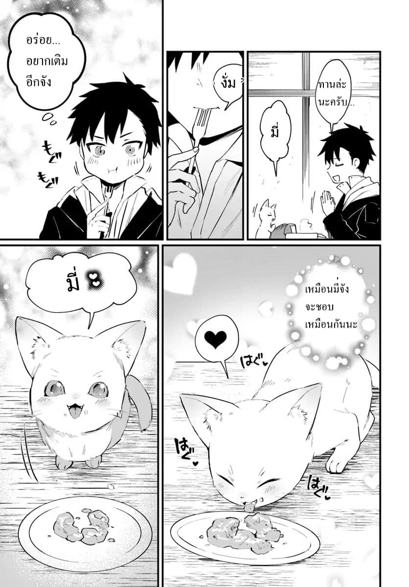 Kami Neko Mii-chan to Neko Youhin Shoukanshi no Isekai Funtouki page 11
