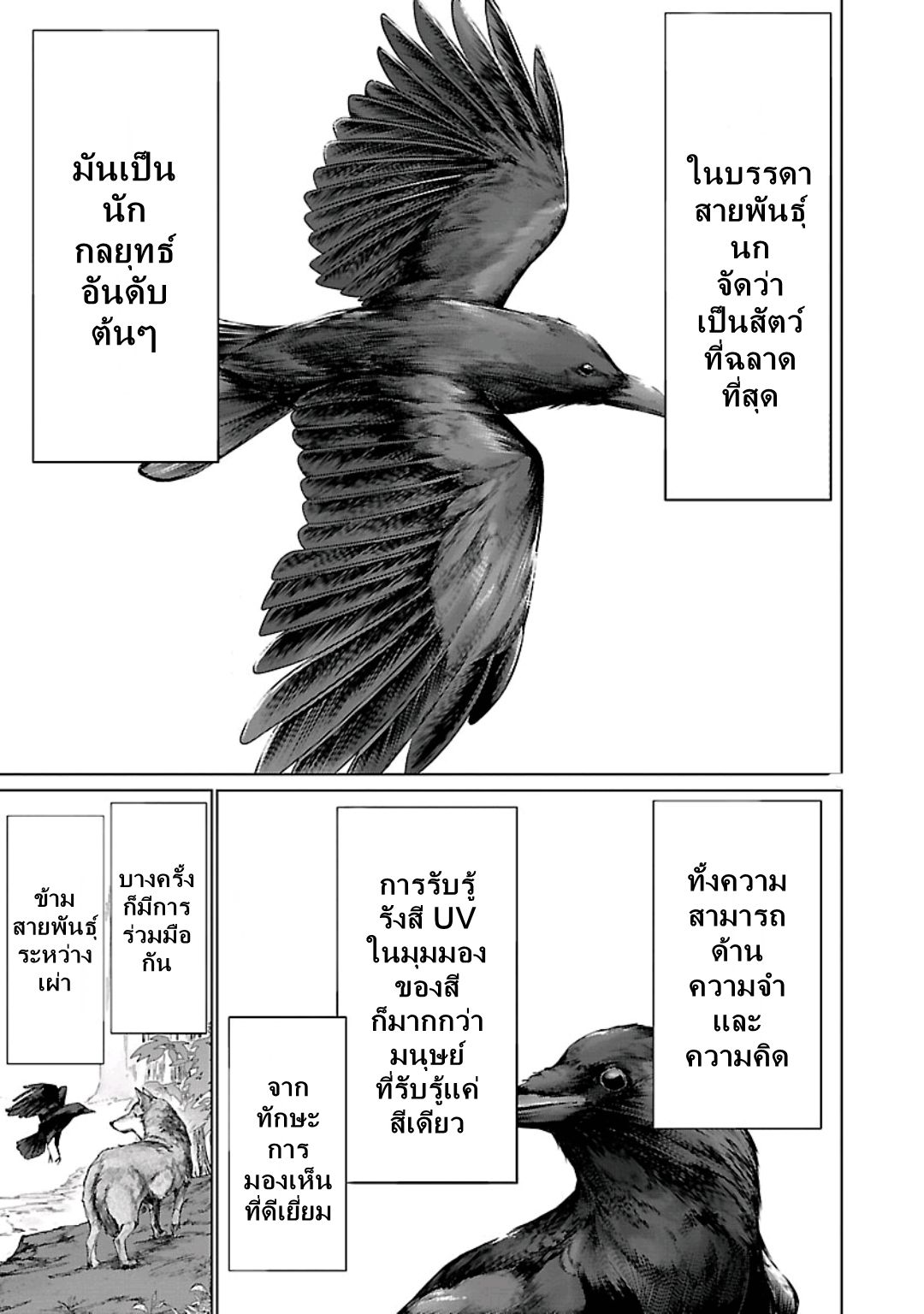 Killing Bites เขี้ยวพิฆาตพันธุ์ผสม page 10