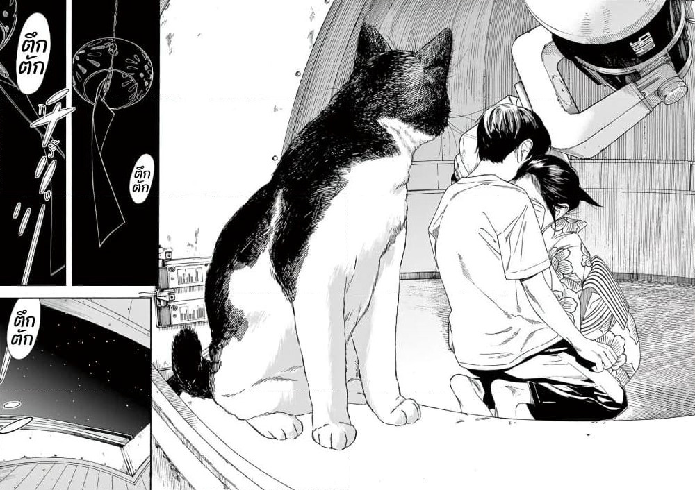 Kimi wa Houkago Insomnia page 2