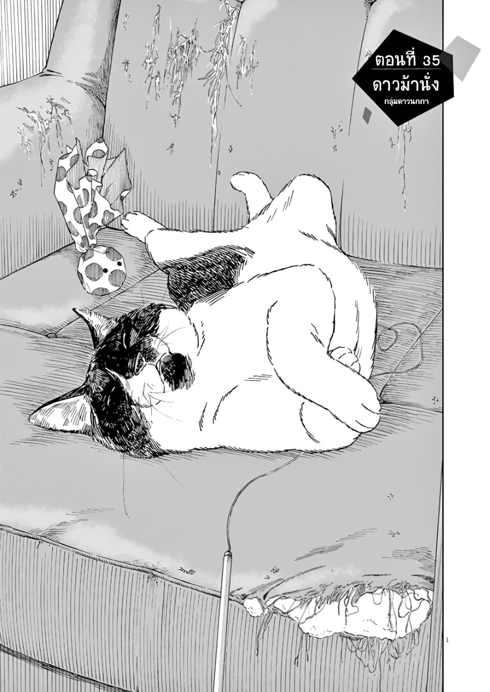 Kimi wa Houkago Insomnia page 1