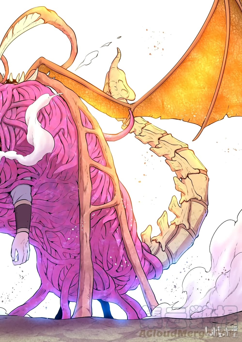 King of Spirit Beast page 12