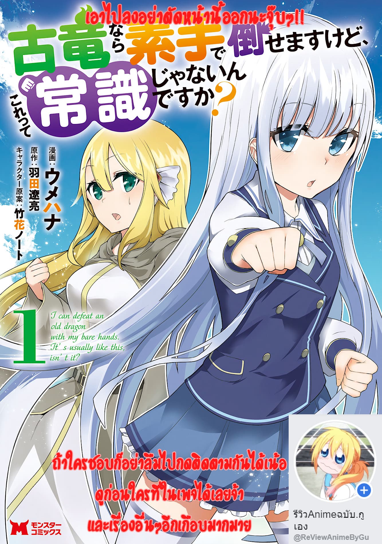 Koryuu Nara Sude de Taosemasu Kedo, Kore tte Joushiki Janain Desu ka? page 31