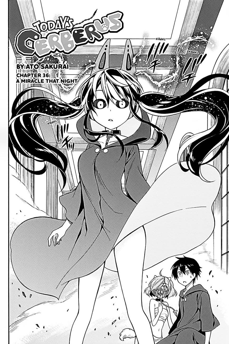 Kyou no Cerberus page 3