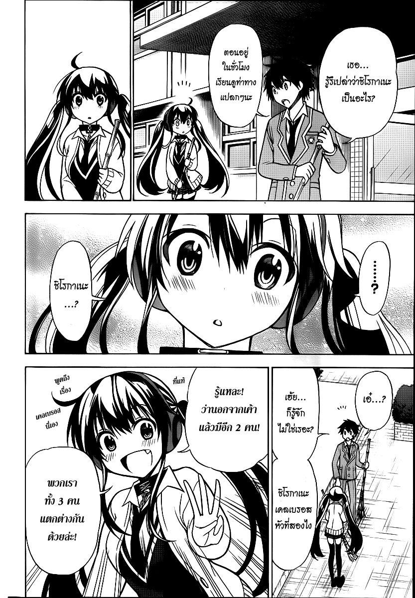 Kyou no Cerberus page 4