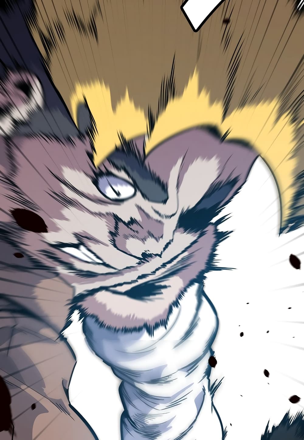 Level Berserker page 32