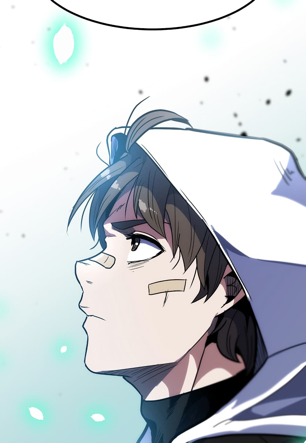 Level Berserker page 114