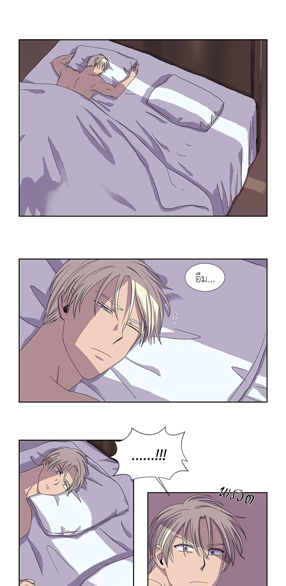 Light and Shadow page 5