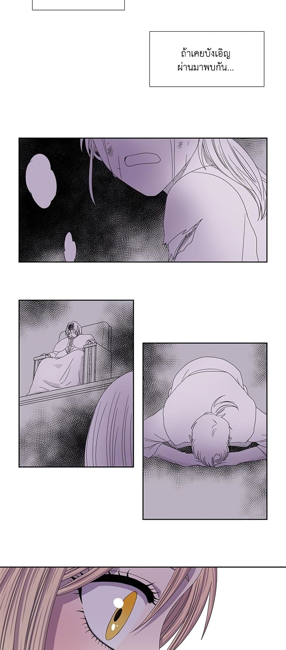 Light and Shadow page 4