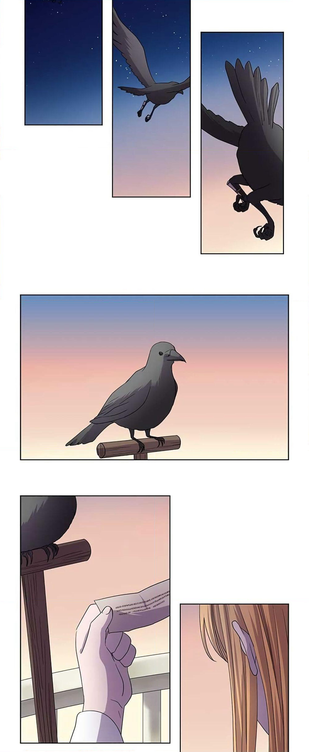 Light and Shadow page 8