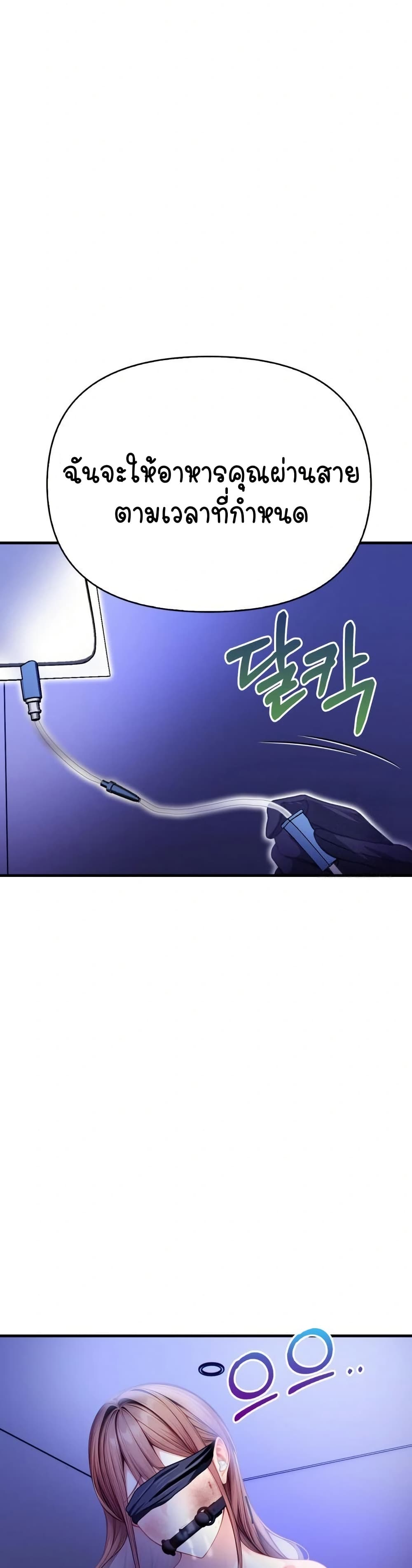 Light Instead of Debt page 44