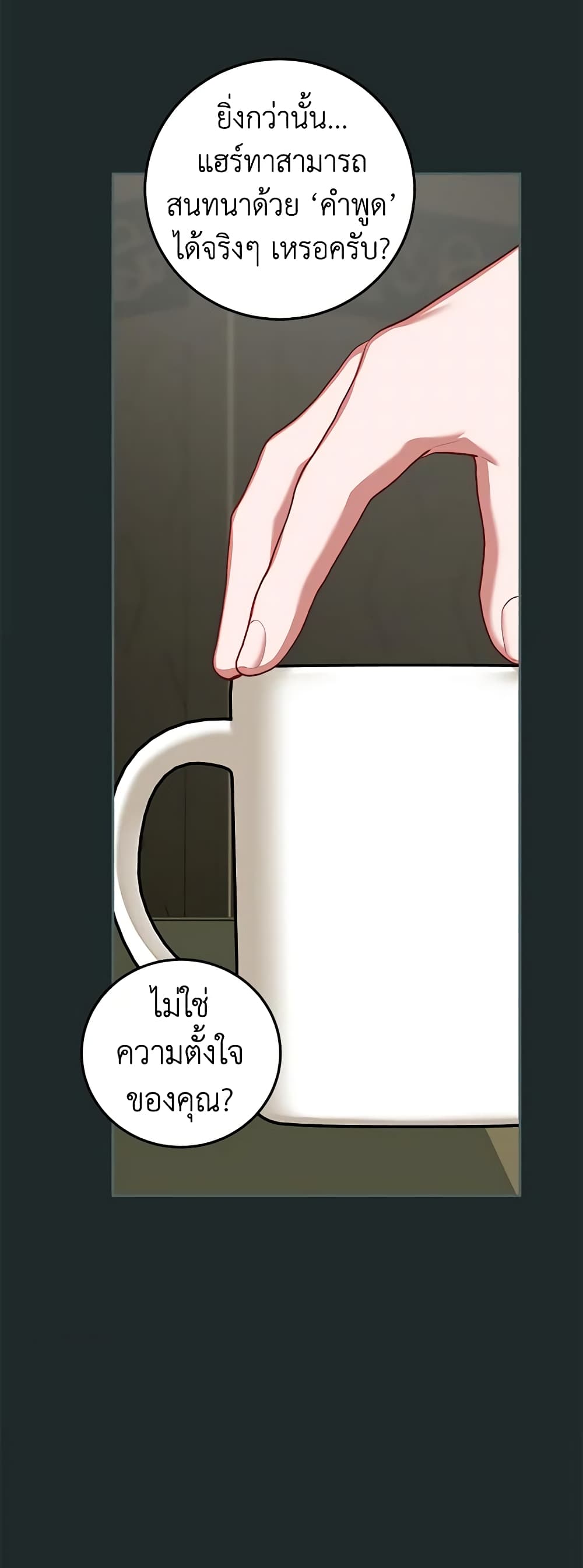 Limited Extra time page 24