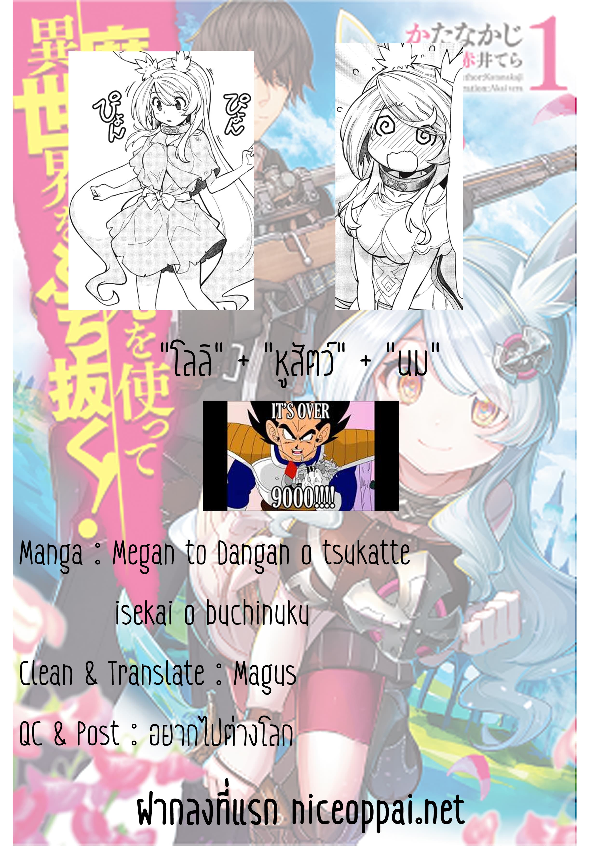 Magan to Dangan o Tsukatte Isekai o Buchinuku! page 19