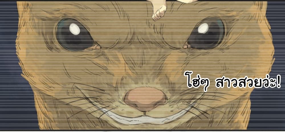 Martial Legacy page 38