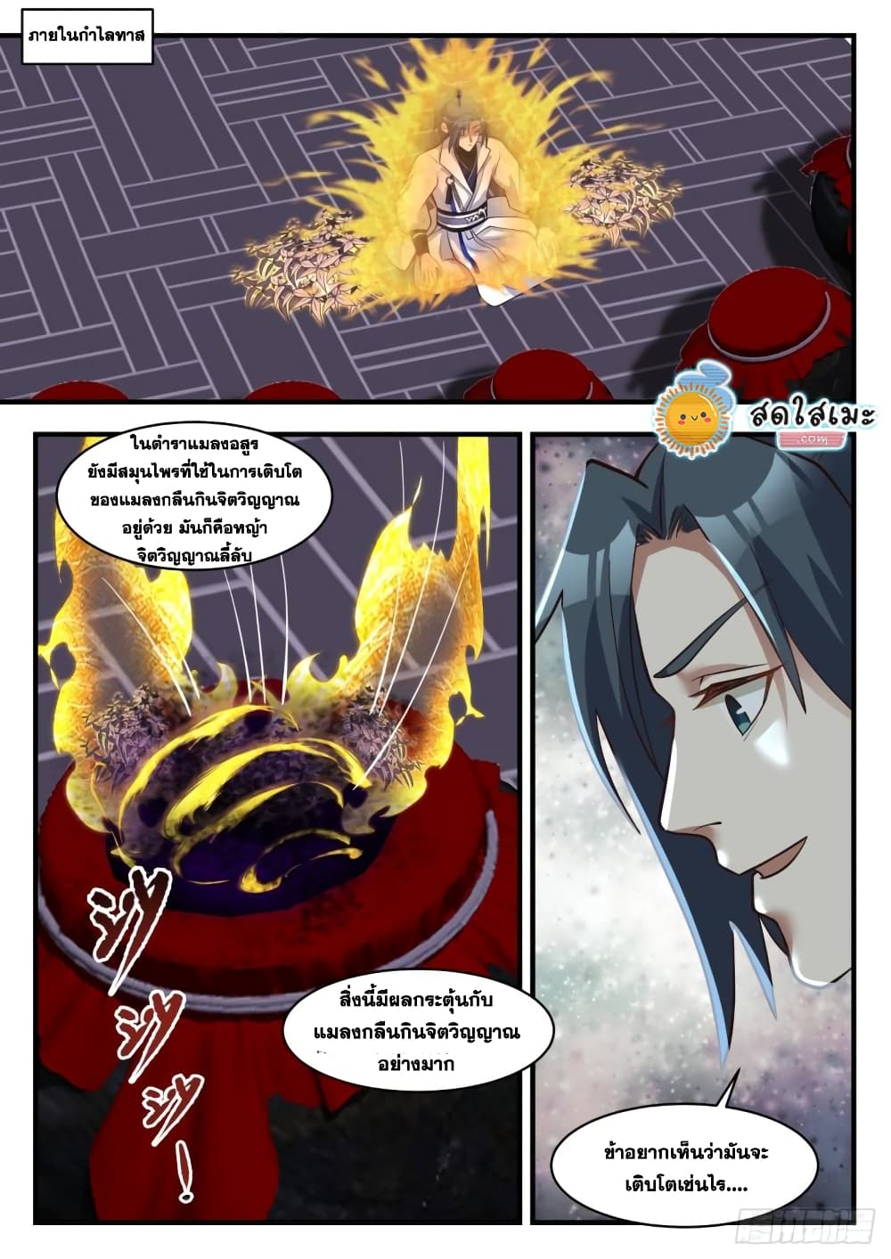 Martial Peak เทพยุทธ์เหนือโลก page 2