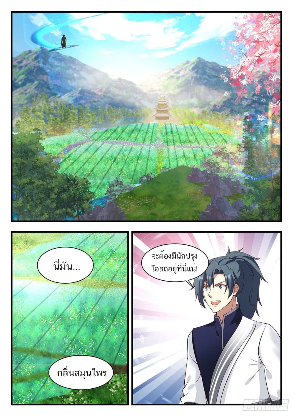 Martial Peak เทพยุทธ์เหนือโลก page 11