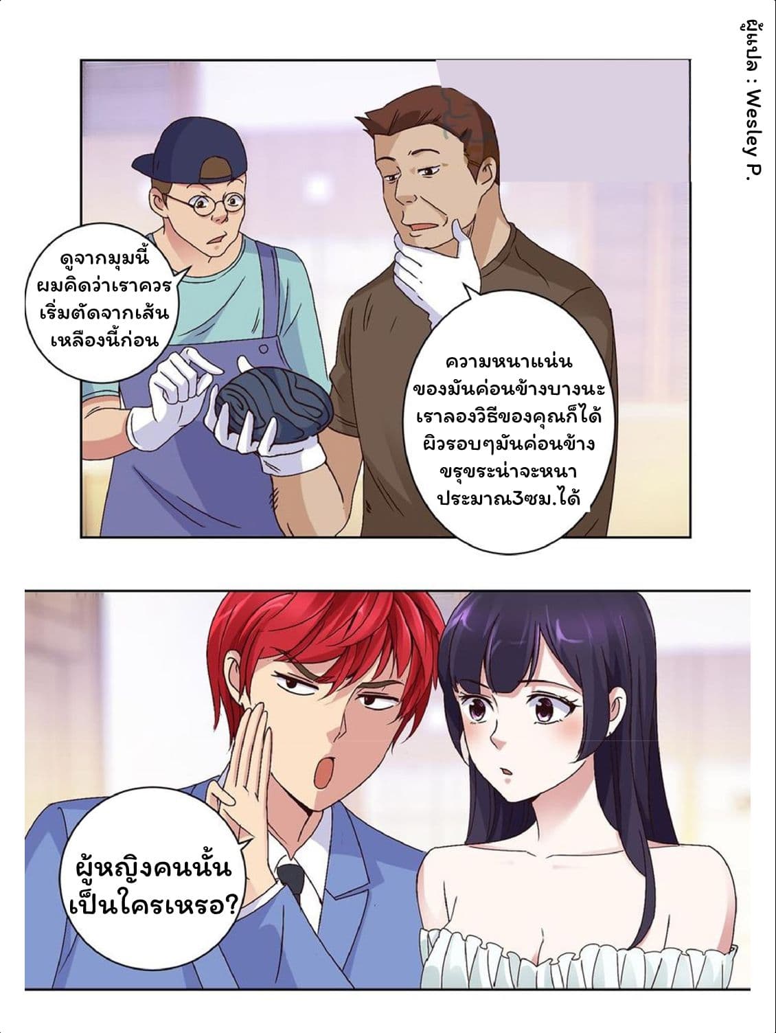 Metropolitan Supremacy System page 13