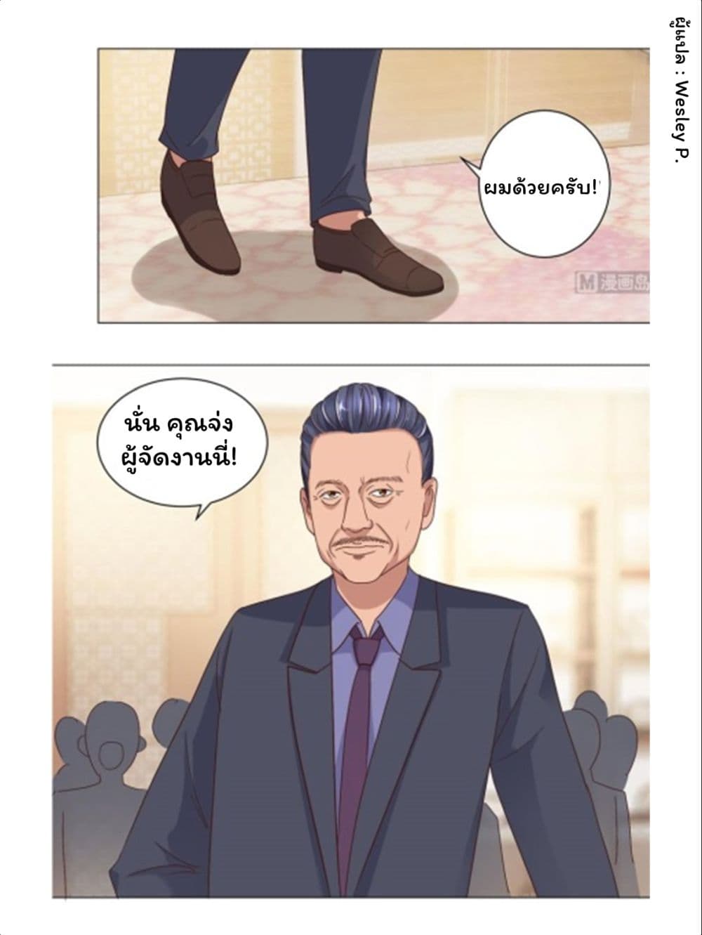 Metropolitan Supremacy System page 13