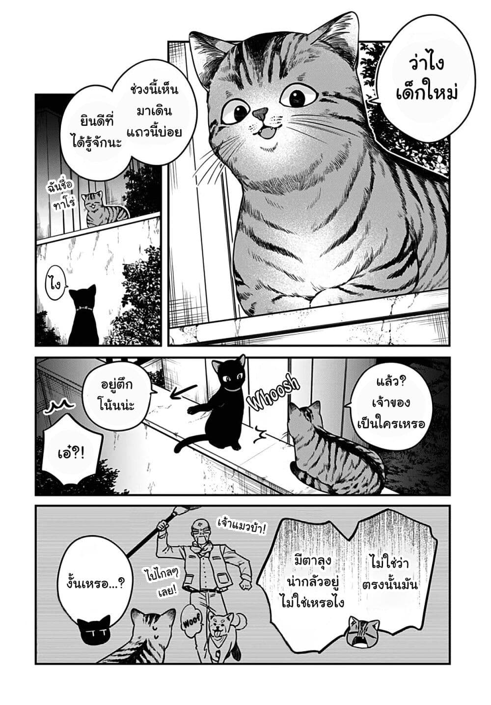 Mi-chan wa Kawaretai page 3