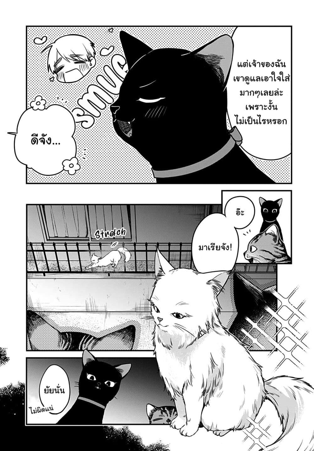 Mi-chan wa Kawaretai page 4
