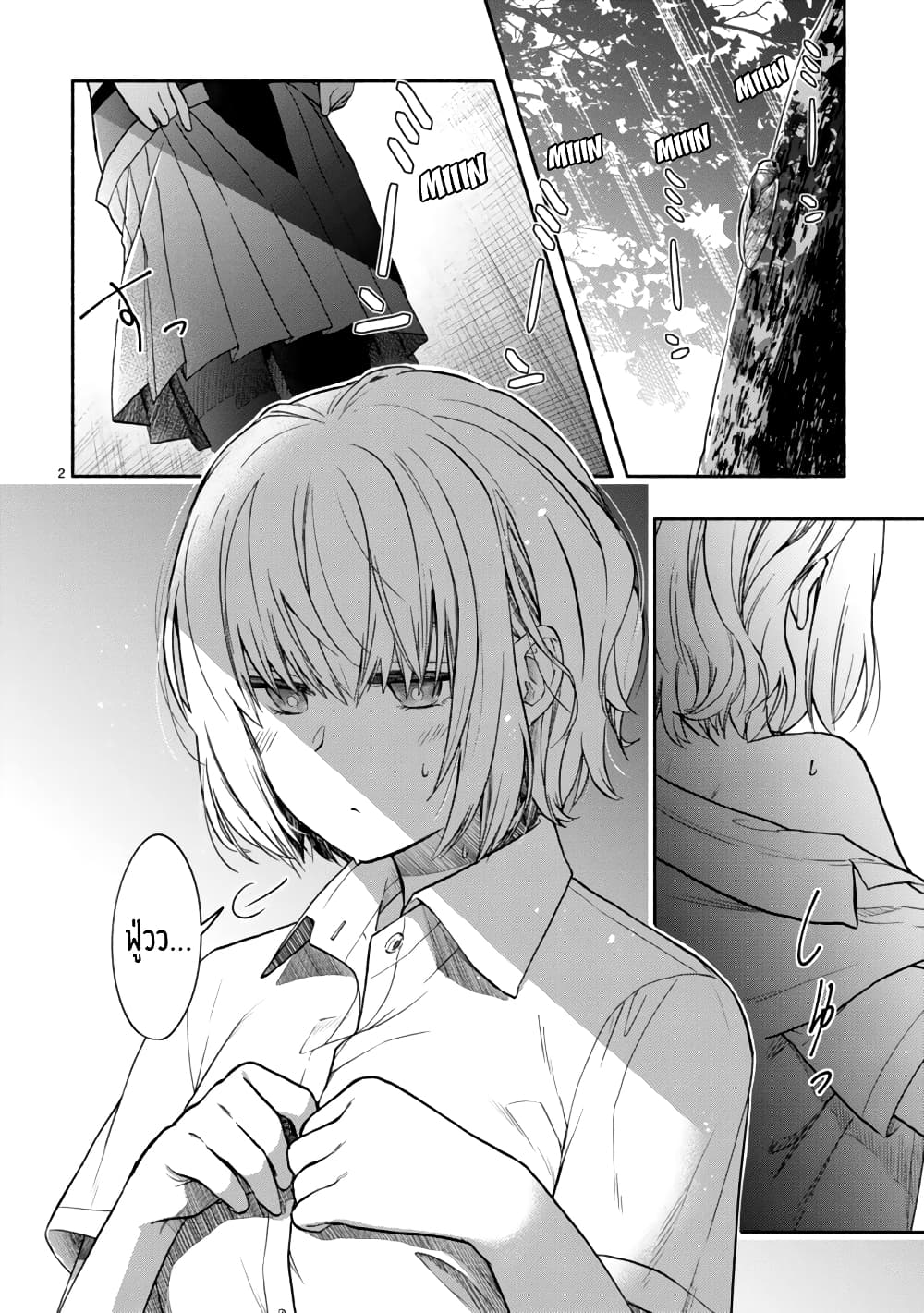 Miseru, Mitsumeru, Futari Dake page 2