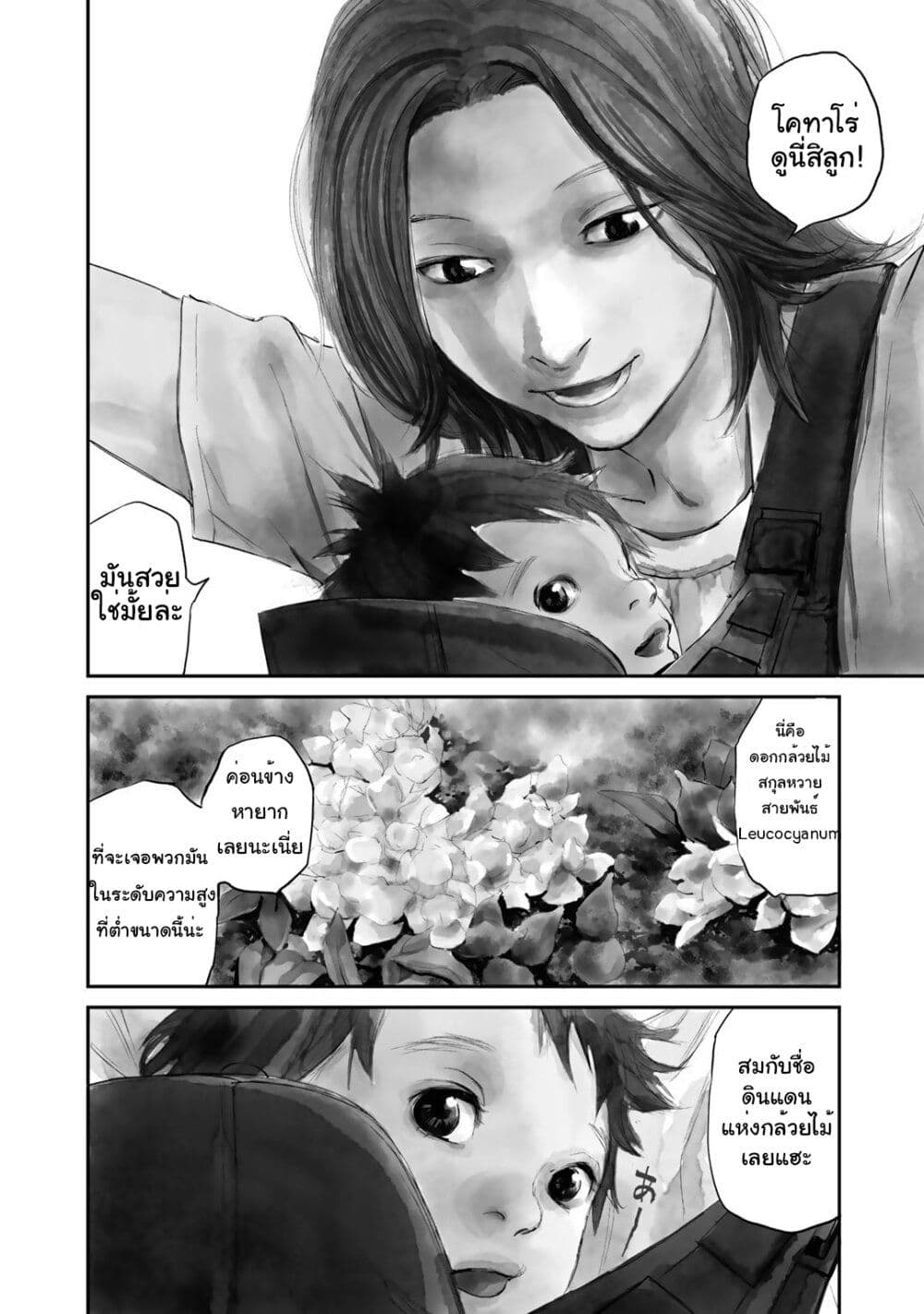 Mushroom page 7