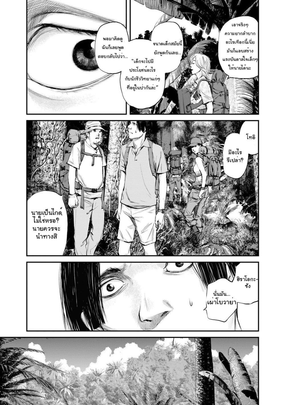 Mushroom page 12