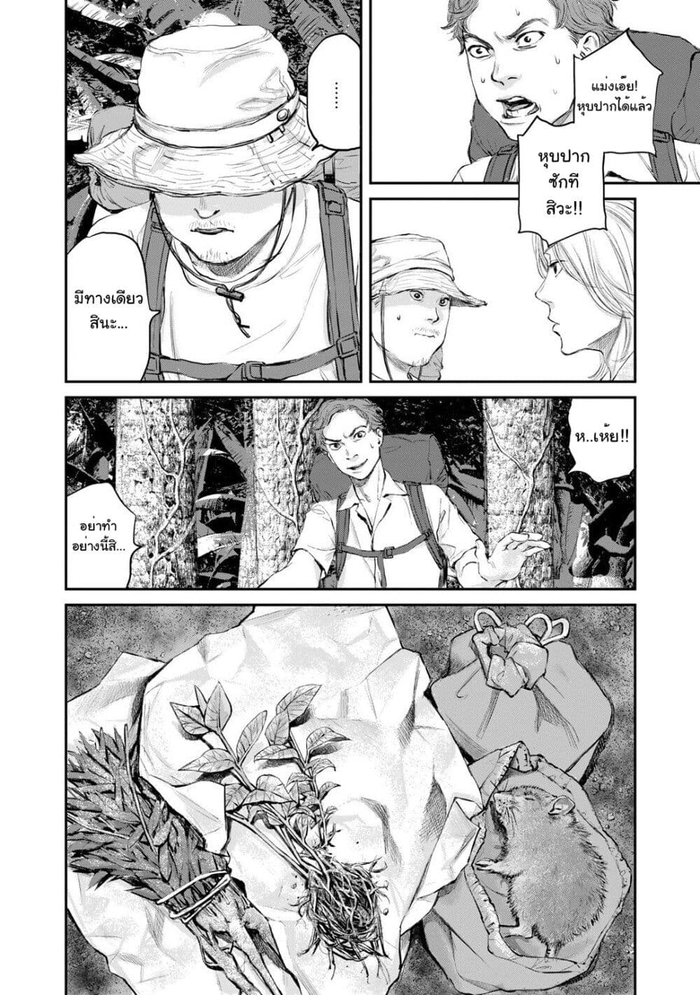 Mushroom page 25