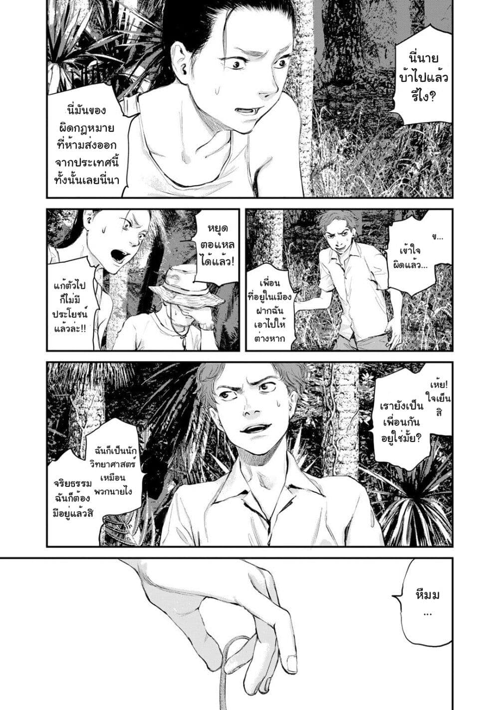 Mushroom page 26