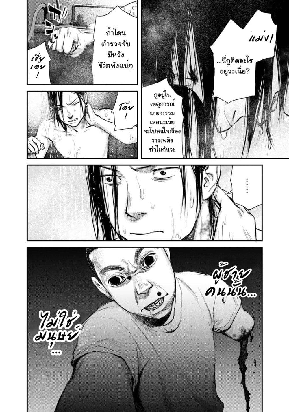 Mushroom page 4