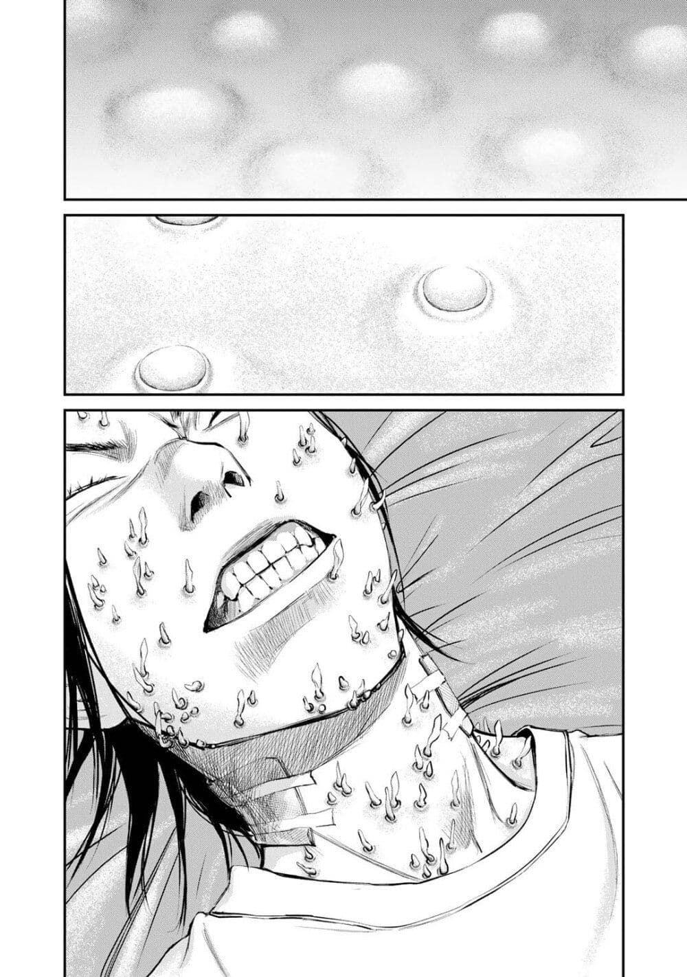 Mushroom page 8