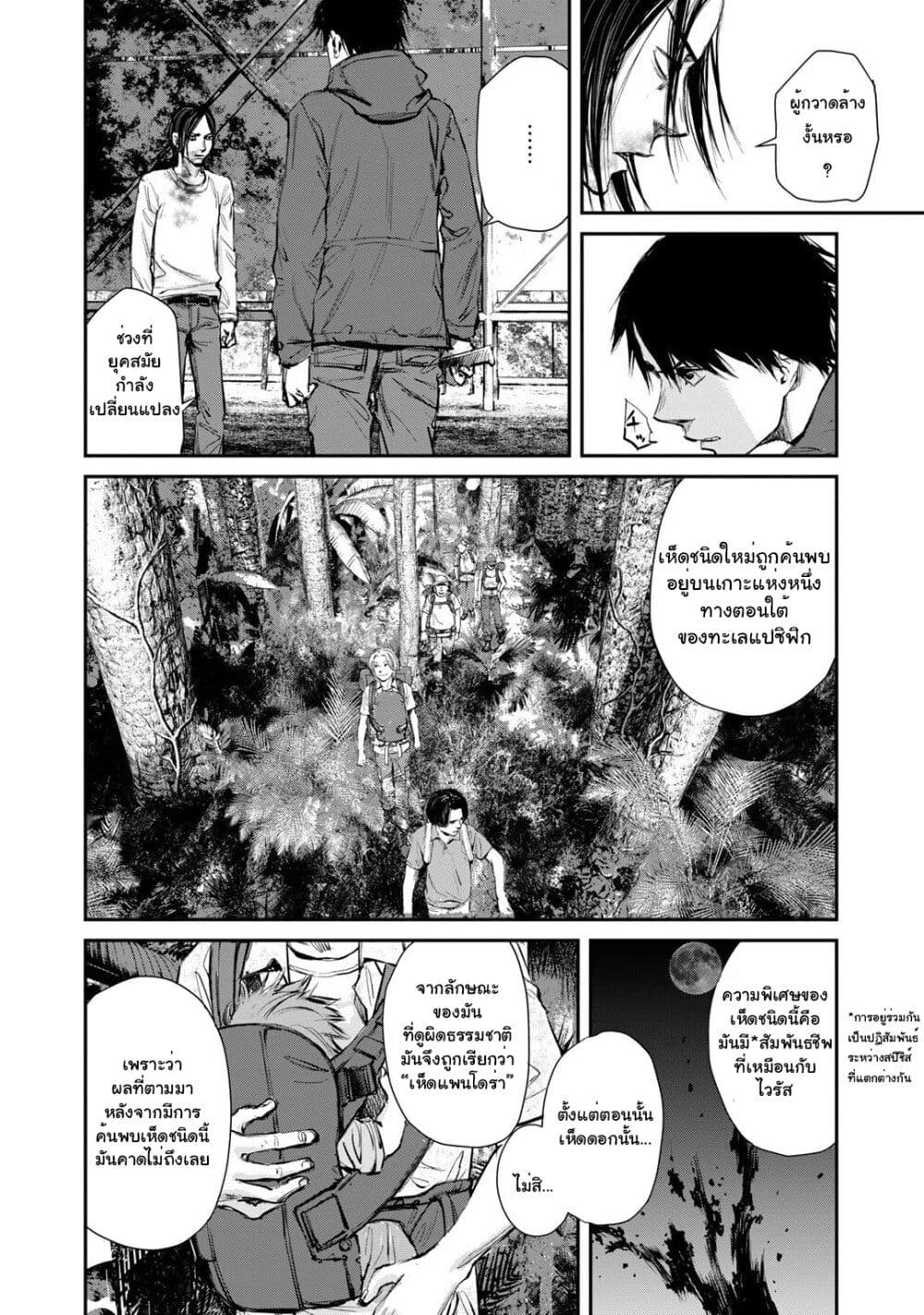 Mushroom page 22