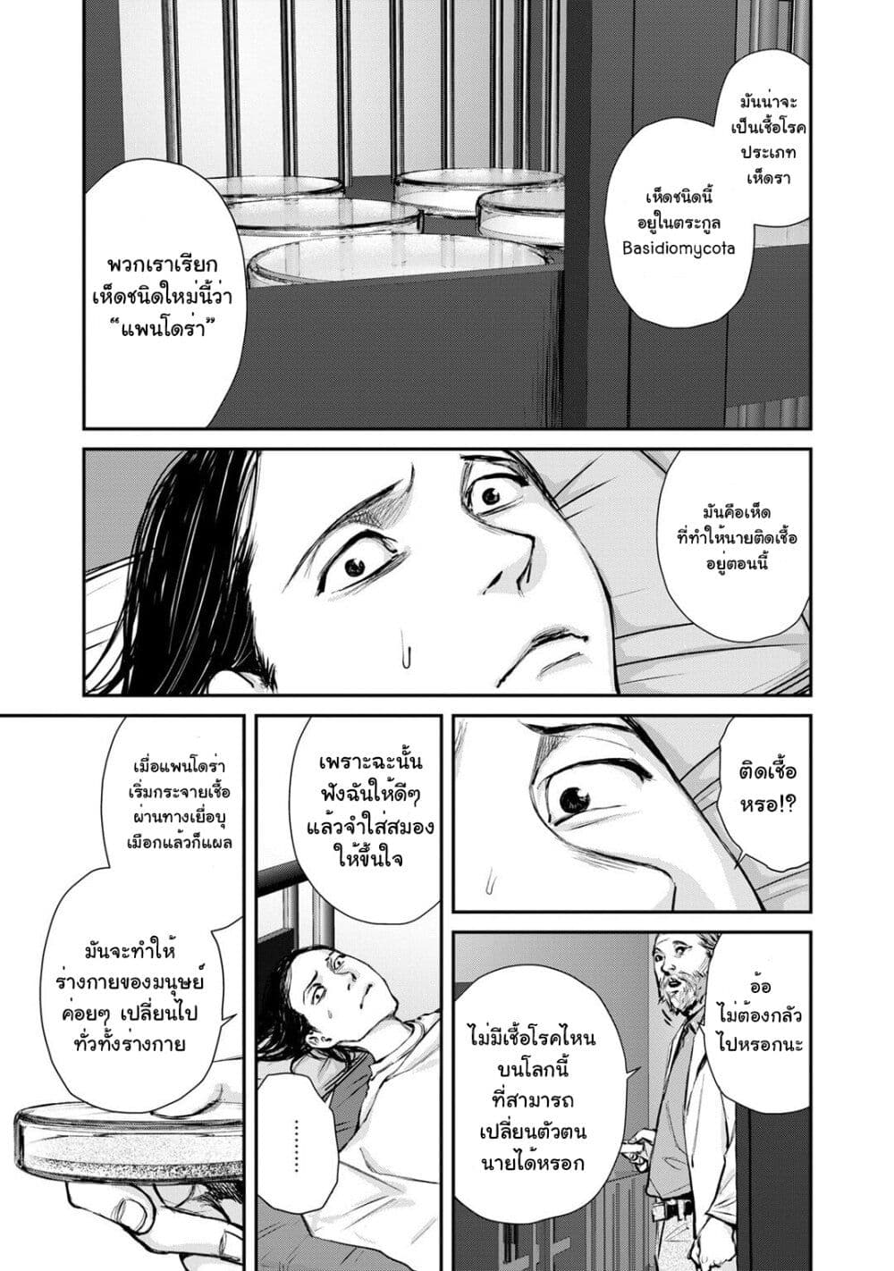 Mushroom page 17