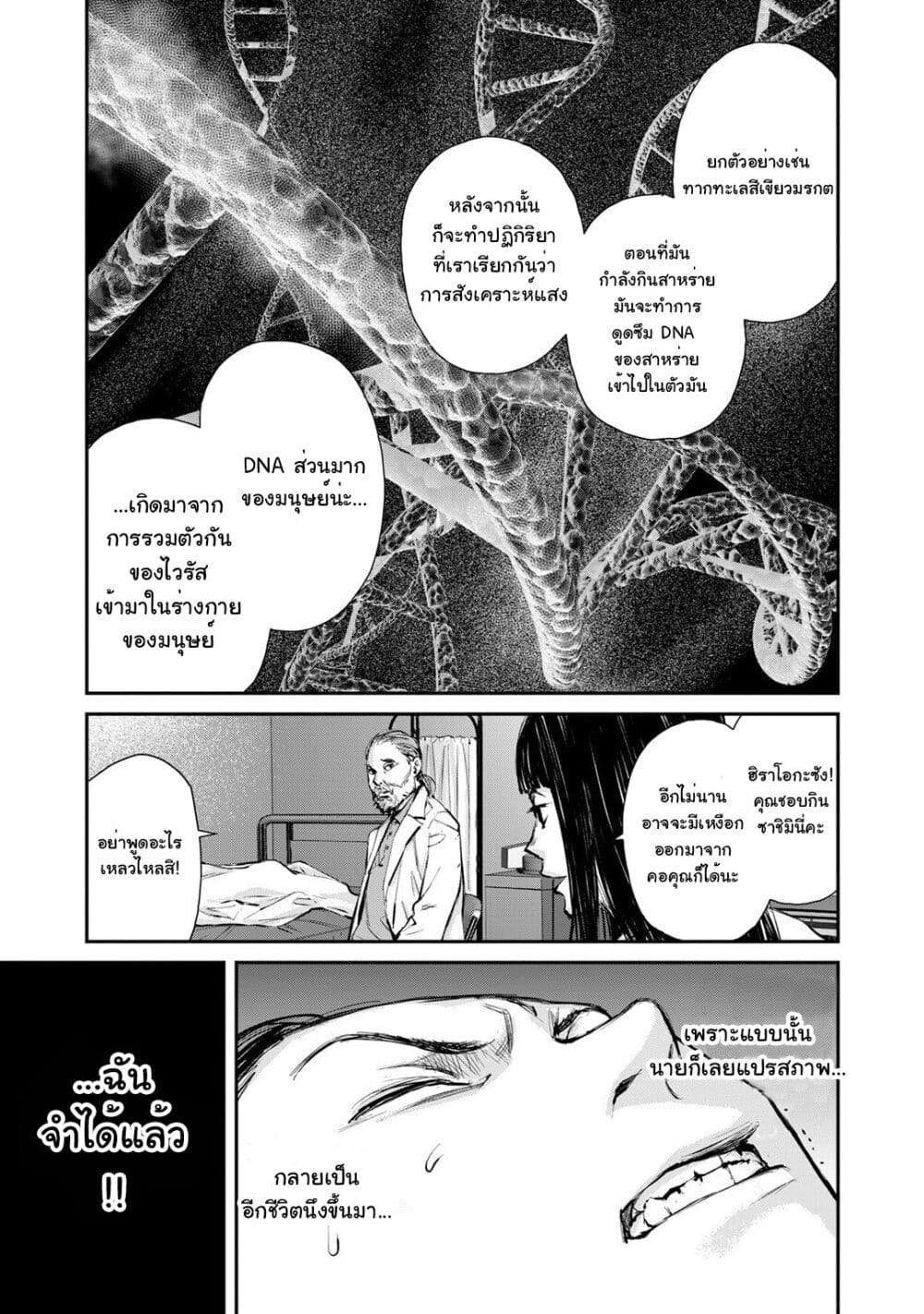 Mushroom page 19