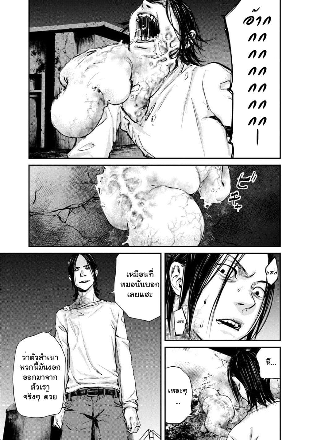 Mushroom page 21