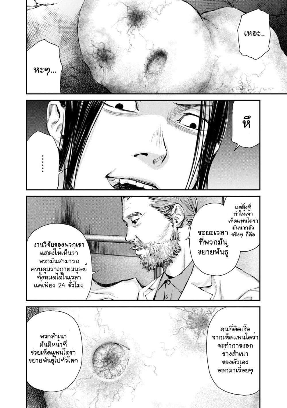 Mushroom page 22