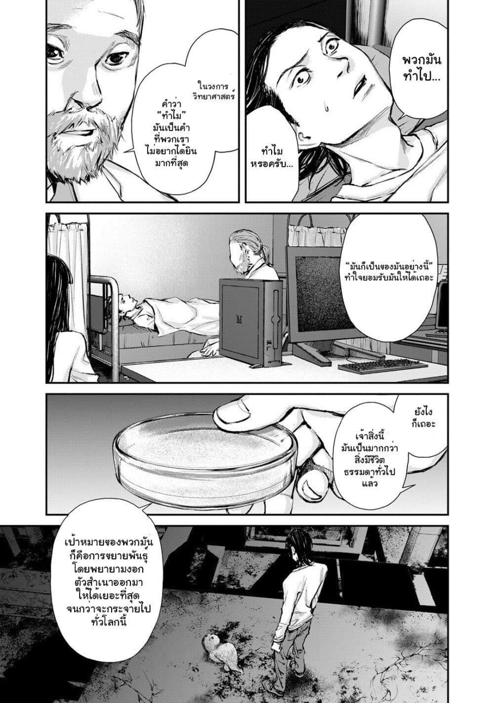 Mushroom page 23