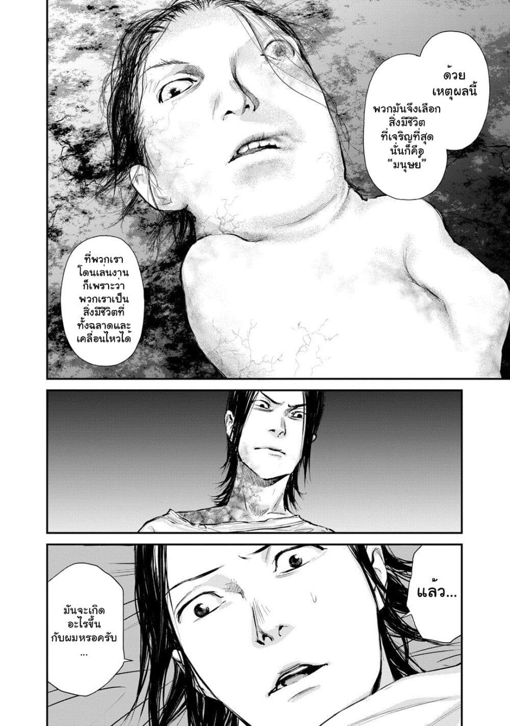 Mushroom page 24