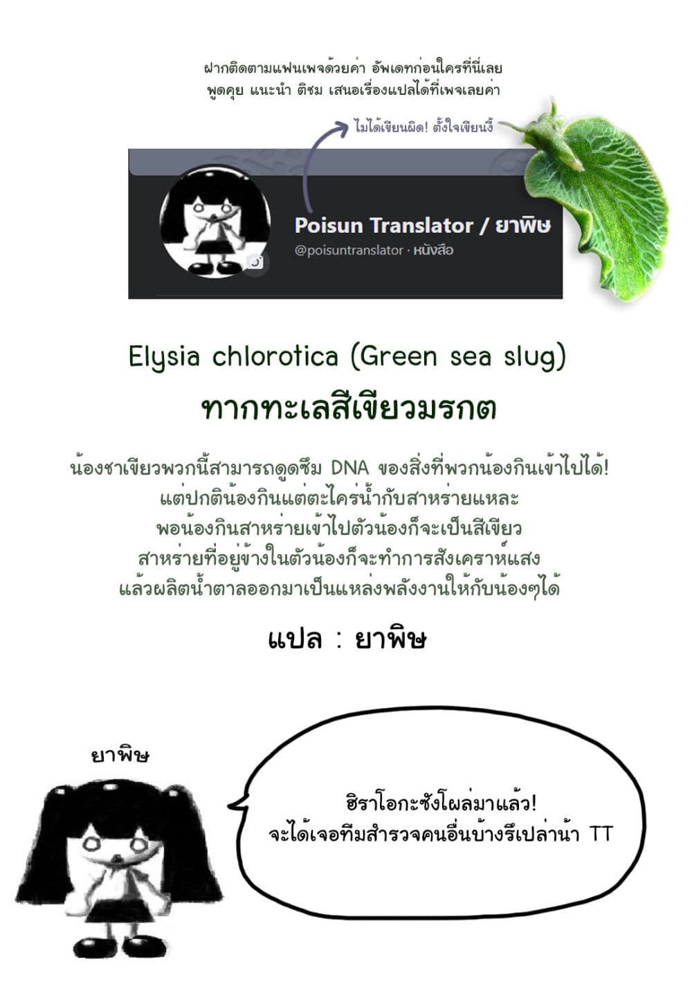 Mushroom page 37