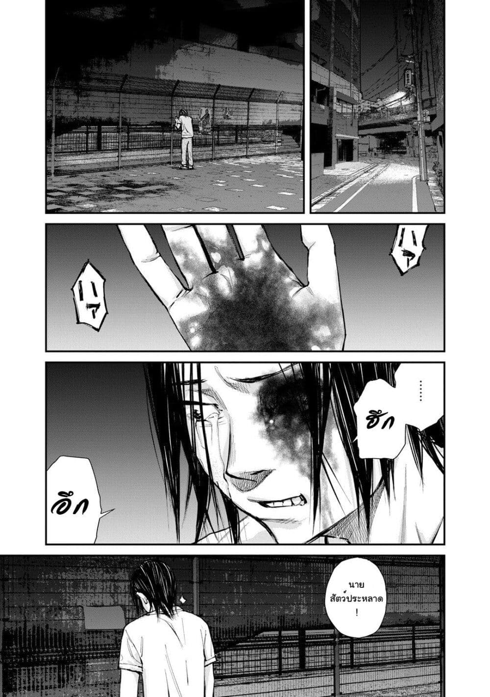 Mushroom page 17