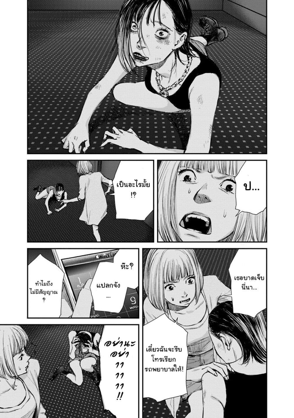 Mushroom page 29