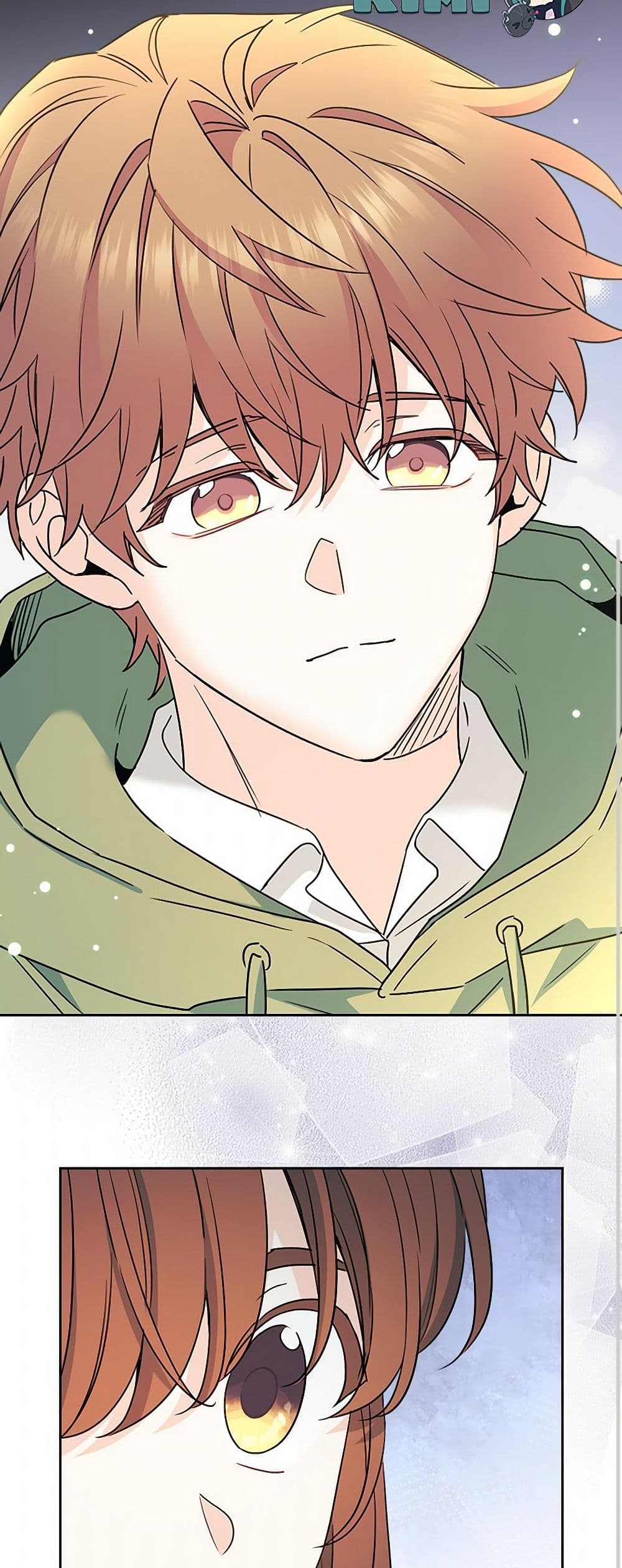 My Life as an Internet Novel page 11