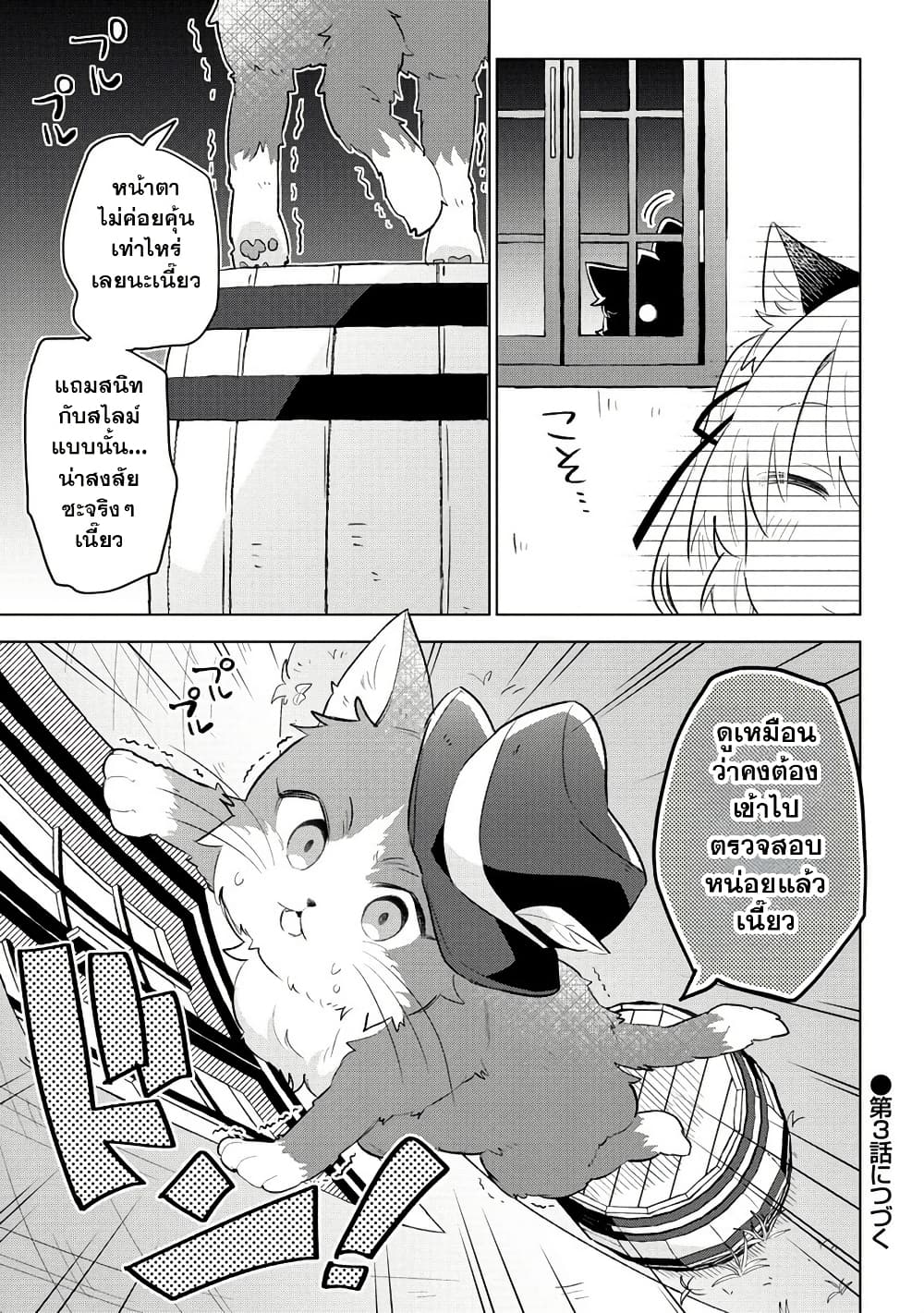 Nekomimi Shoujo wa Mori de Slow Life wo Okuritai ~Mofumofu wa Shomou Shimashita ga, Seijo to ka Ouji-sama to ka wa Chuumongai desu~ page 23