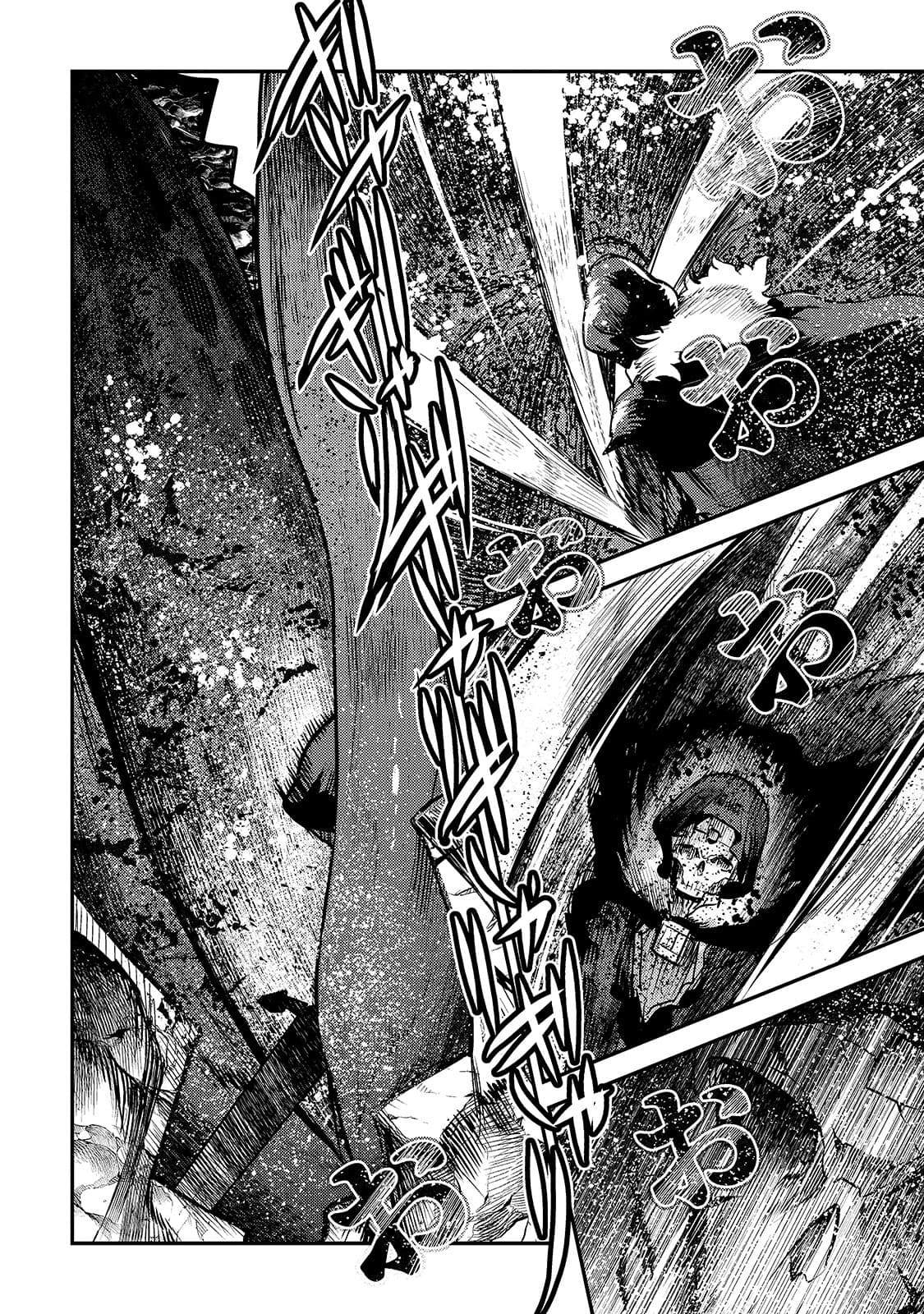 Nozomanu Fushi no Boukensha page 5