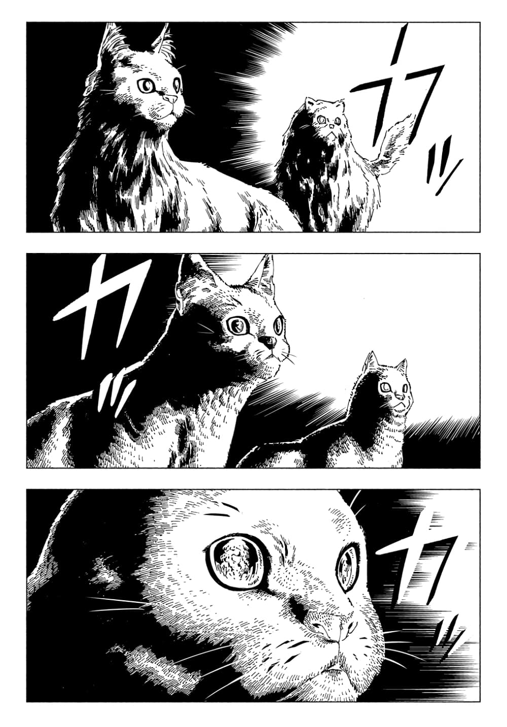 Nyaight of the Living Cat page 19